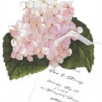 Pink Hydrangea Invitation